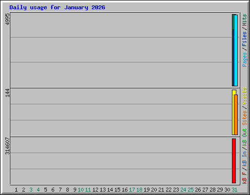 Daily usage for January 2026